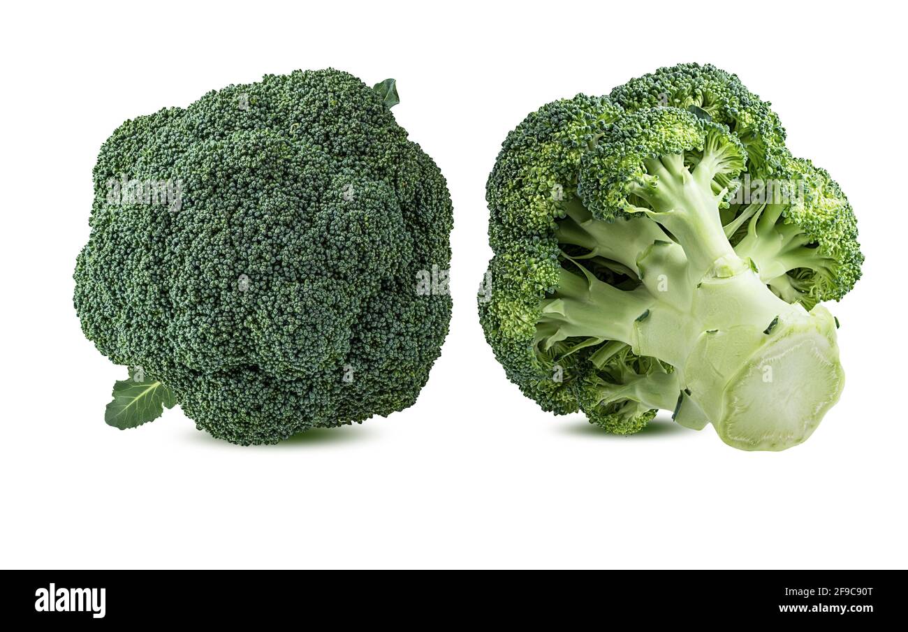 Broccoli isolati su sfondo bianco. Foto Stock