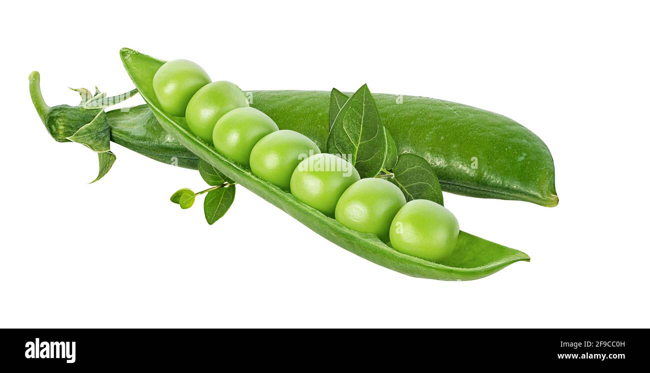 Piselli verdi isolati su sfondo bianco Foto Stock