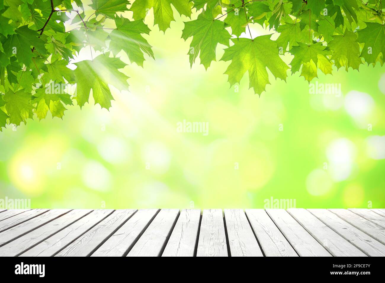 Modello naturale primavera - foglie verdi fresche di clone sopra tavolo vintage vuoto in legno in una giornata di sole con copia spazio Foto Stock