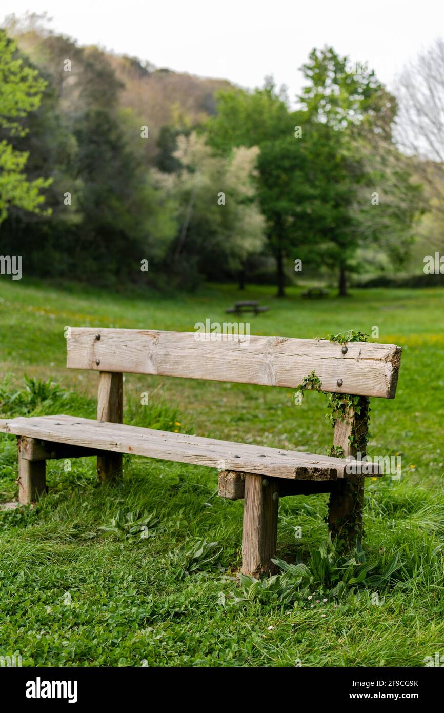 Una panca rustica in legno su un prato verde Foto Stock