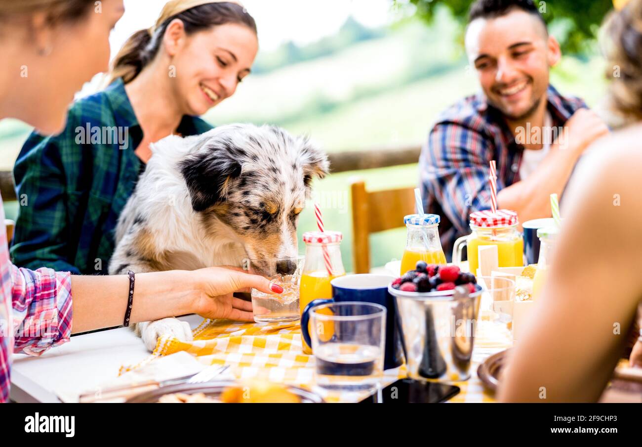 Giovani a una sana pic nic colazione con un cane carino In agriturismo campagna - amici felici millennials divertirsi insieme all'aperto Foto Stock
