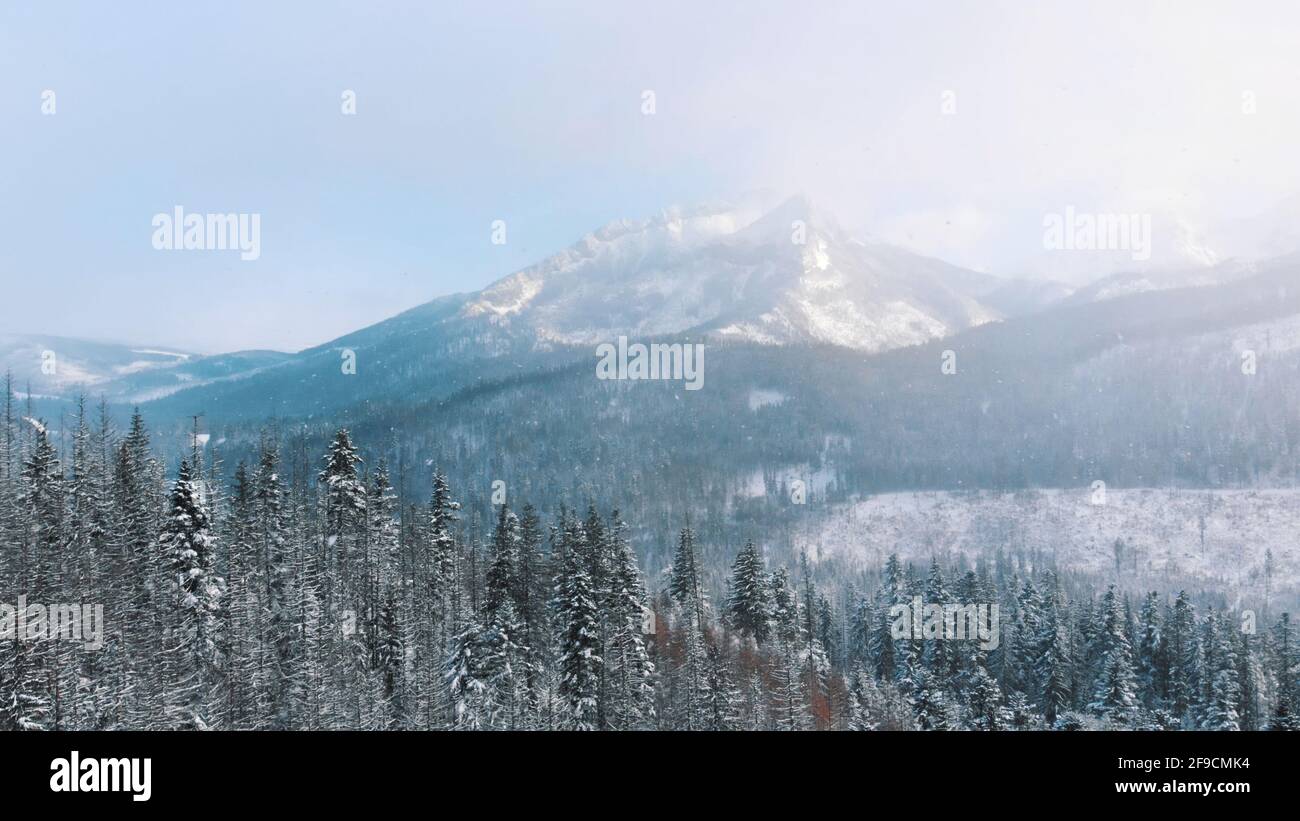 Scenario invernale mozzafiato di neve coperta foresta sempreverde con montagne sullo sfondo durante la nevicata. Foto di alta qualità Foto Stock