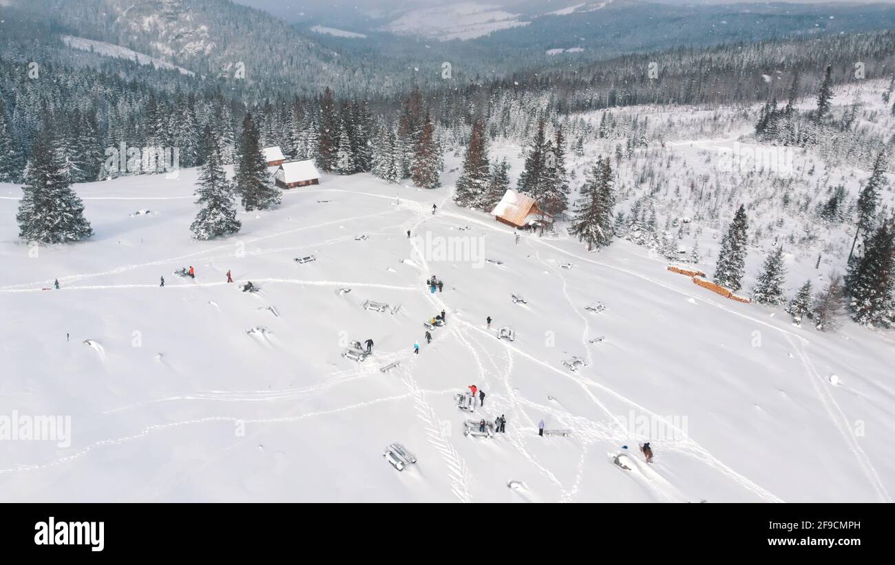 Scenario invernale mozzafiato di neve coperta foresta sempreverde con montagne sullo sfondo durante la nevicata. Foto di alta qualità Foto Stock