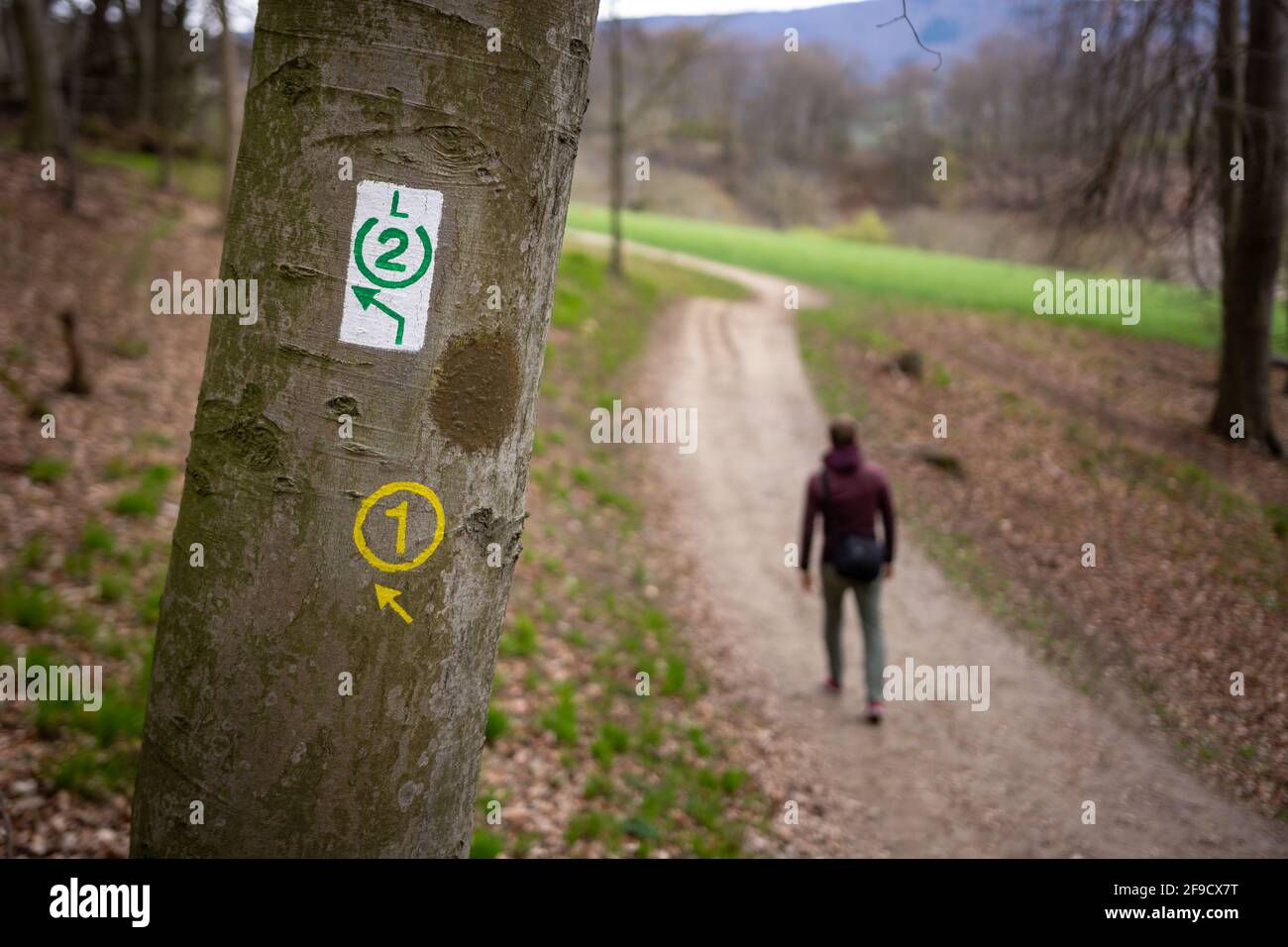 Sentiero segno con persone sfocate sullo sfondo camminando il percorso attraverso la foresta tedesca nella regione Bergstrasse hessen, germania. Foto a da Foto Stock
