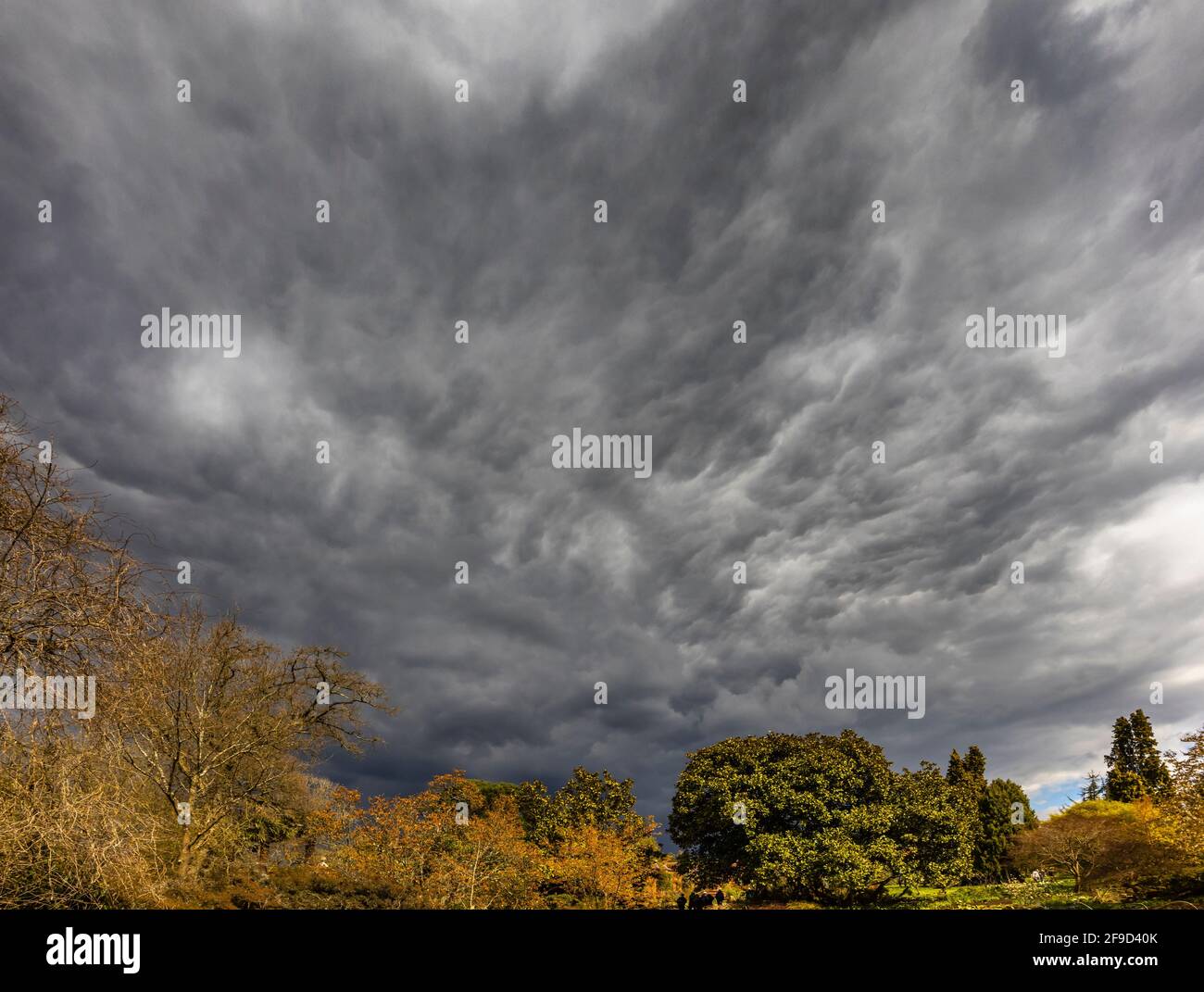 Cielo drammatico con nuvole di tempesta grigia sopra RHS Garden, Wisley, Surrey, Inghilterra sud-orientale in primavera prima della pioggia pesante Foto Stock