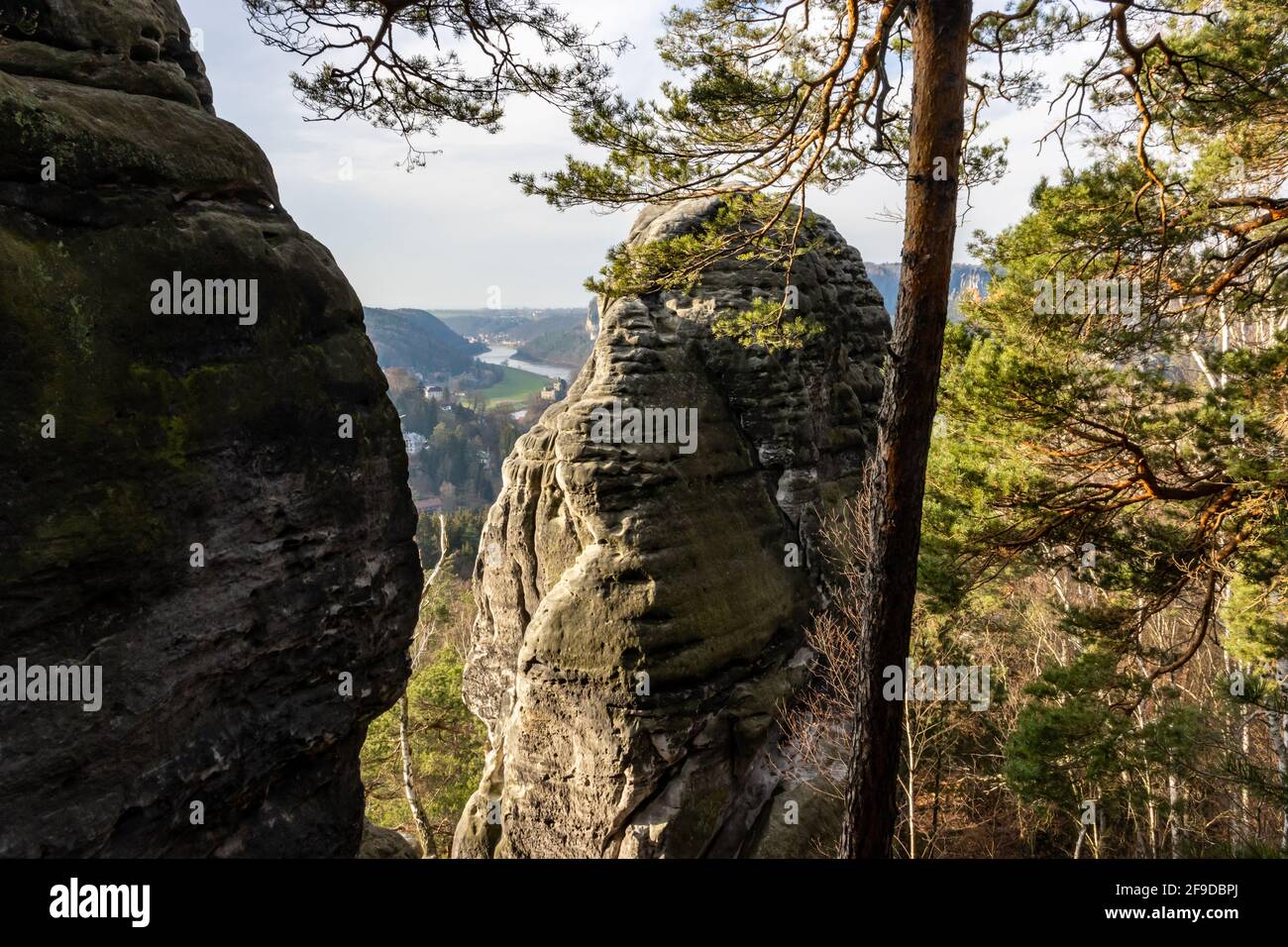 Rocce nella Sassonia Svizzera Foto Stock