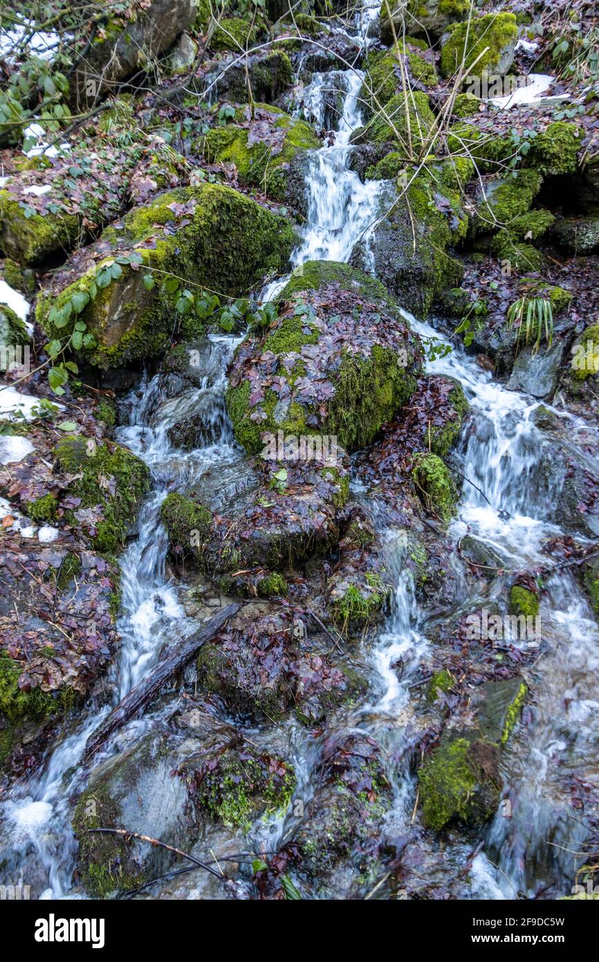 Una piccola cascata di fiume nella foresta Foto Stock
