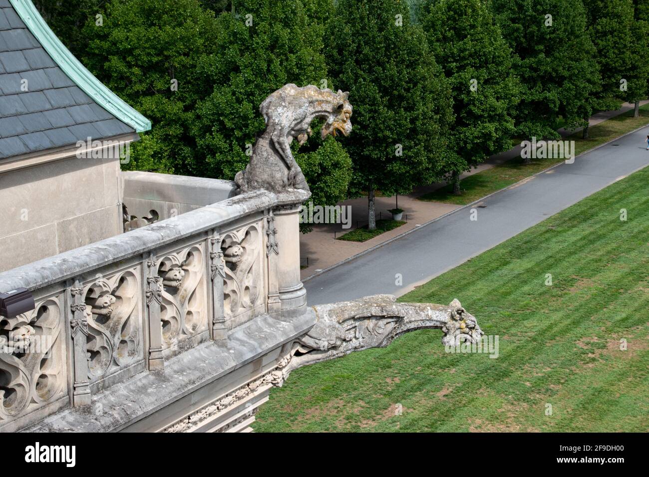 Una serie di due gargoyles dalla Biltmore Estate Foto Stock