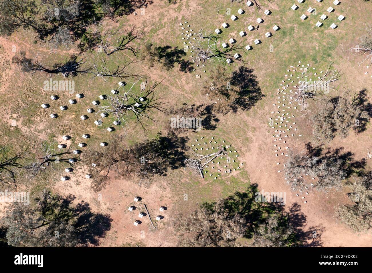 Drone fotografia aerea di una grande fattoria Bee Hive in Un campo verde nel nuovo Galles del Sud in Australia Foto Stock