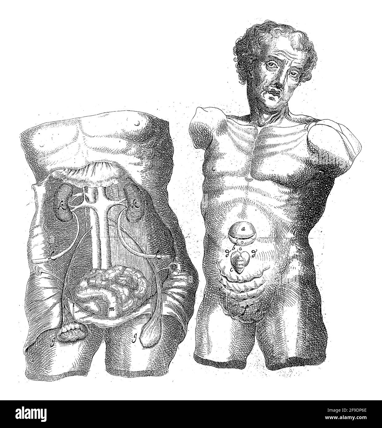 Studio anatomico di due scafi, Wilhelmus ten Rhijne, 1670 - 1672 Foto Stock