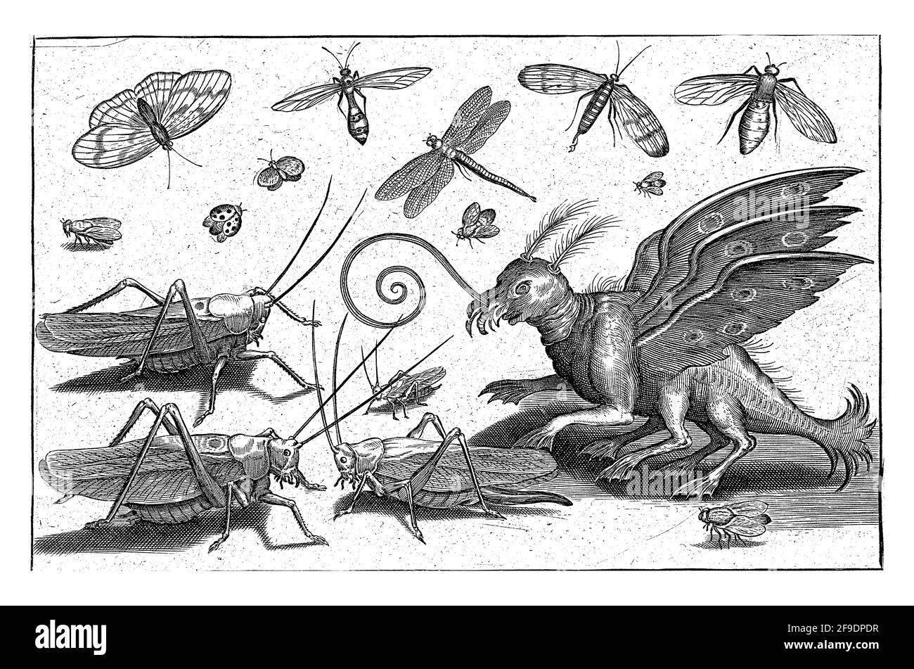 Afferra gli shoppers e le creature fantasy con le ali e i piedi a rete Foto Stock