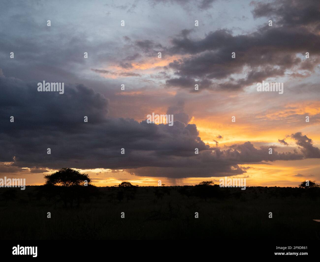 Parco Nazionale di Serengeti, Tanzania, Africa - 29 febbraio 2020: Tempesta che infesta all'orizzonte di Serengeti Foto Stock