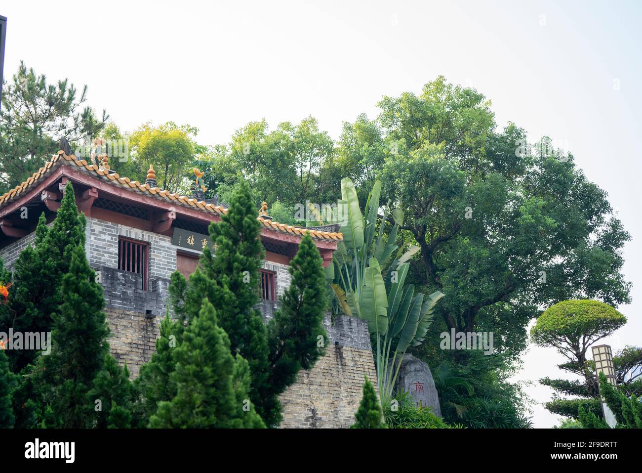 Shenzhen, Cina. Ottobre 2019. Vista del Giardino Internazionale di Shenzhen e del Parco Fiower Expo, è un parco pubblico urbano nel quartiere di Futian, Shenzhen, Chin Foto Stock