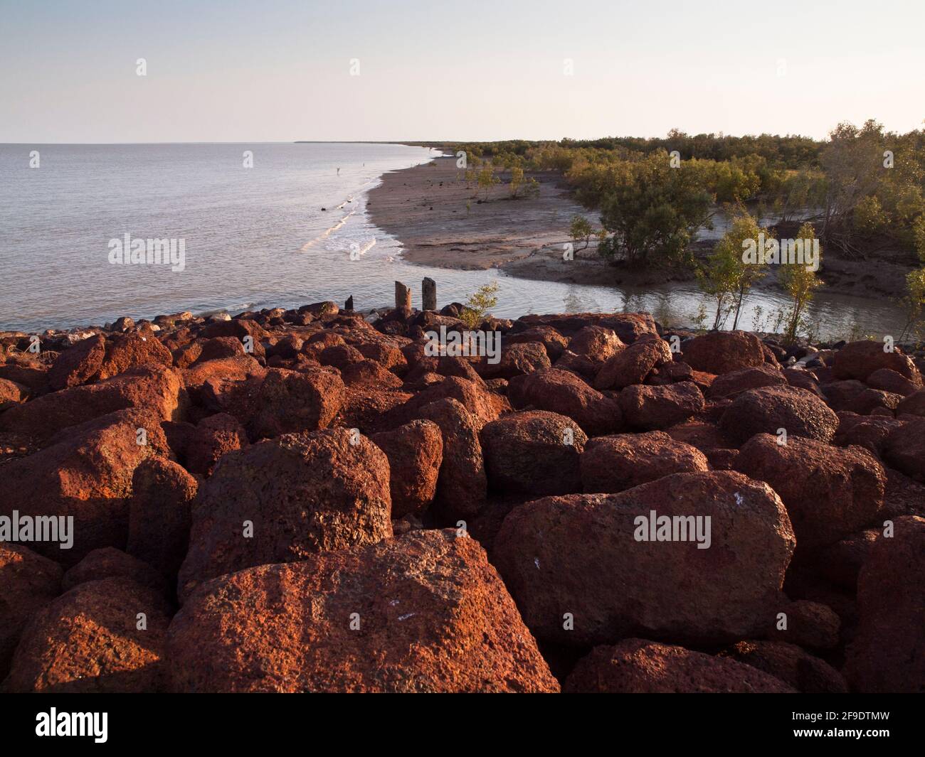 Mangrovie su King Sound, Derby, Australia Occidentale Foto Stock