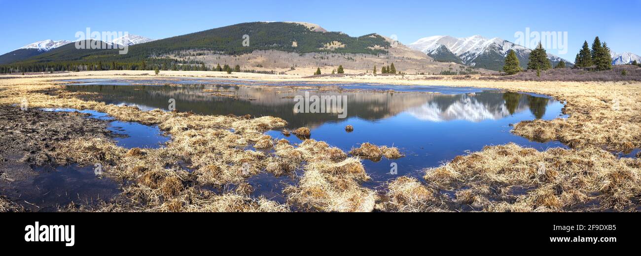 Vista panoramica del paesaggio Prairie Grassland e Mountain Peak Blue Lake Reflection. Ya ha Tinda Ranch, Alberta Foothills, Canadian Rockies Foto Stock