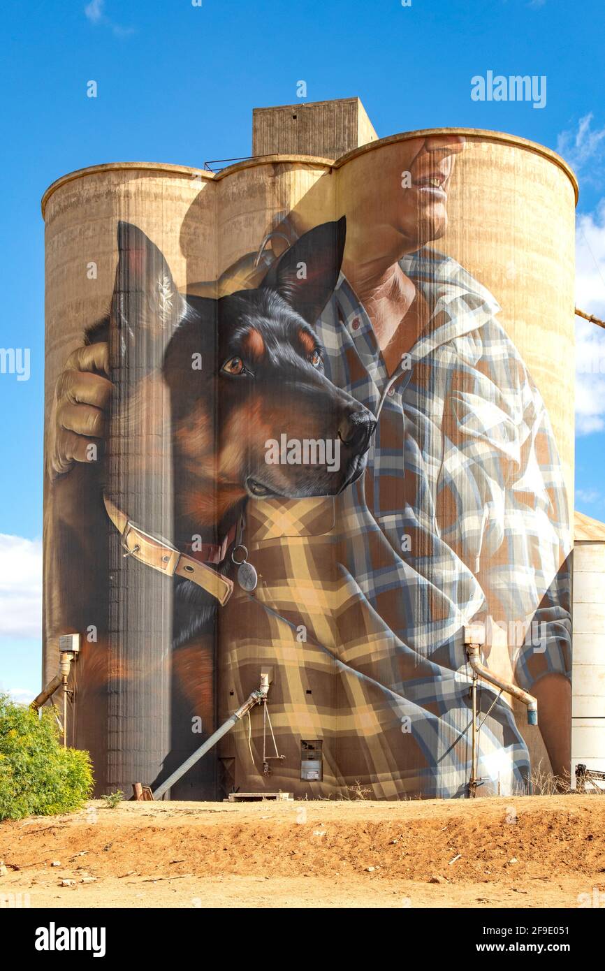 ''''Kelpie'' Silo Art, Nullawil, Victoria, Australia Foto Stock