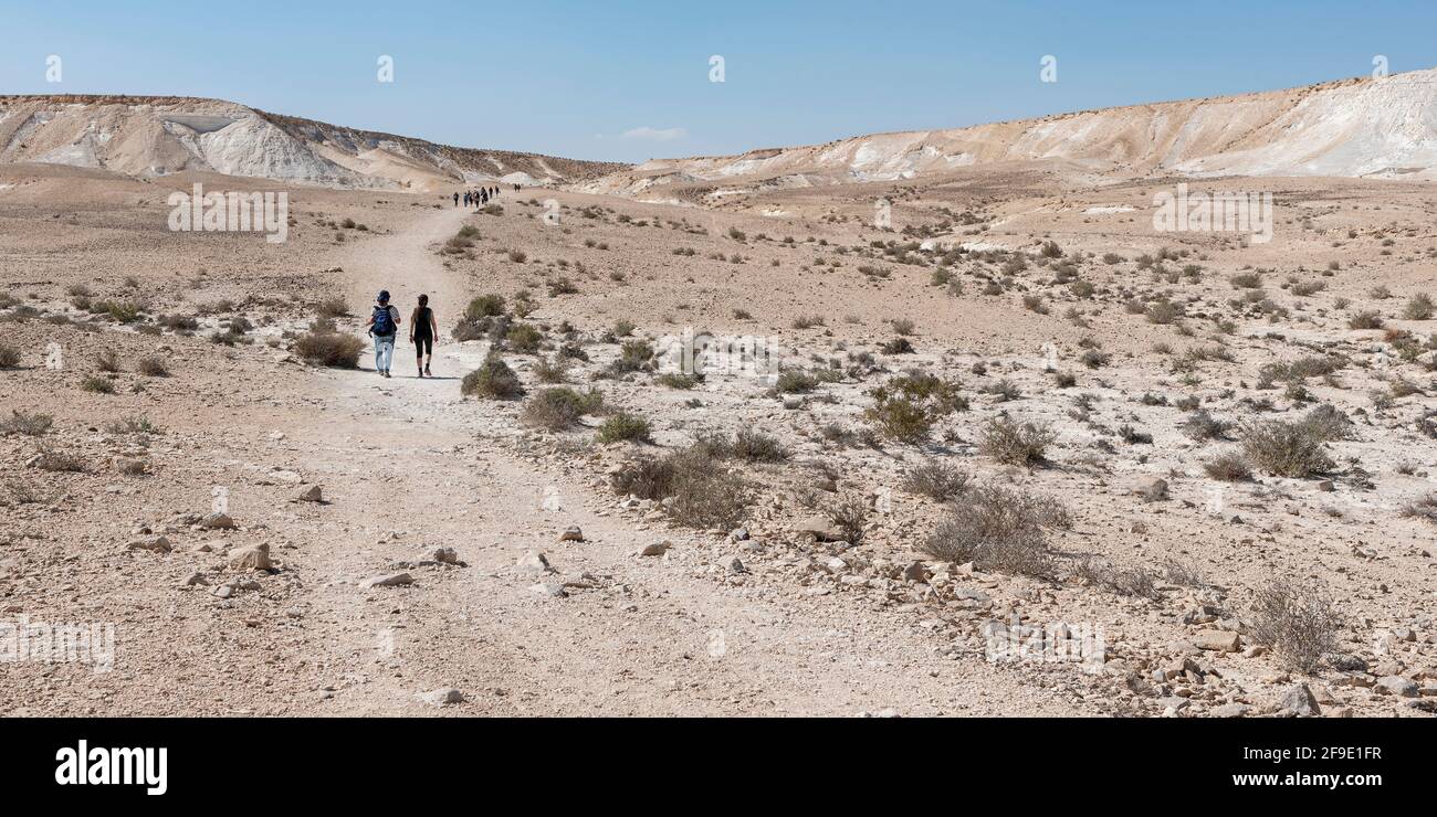 Un gruppo di escursionisti che si divertono attraverso l'arido Ramat Divshon Altopiano sopra la valle Zin in Israele con un chiaro sfondo blu cielo Foto Stock