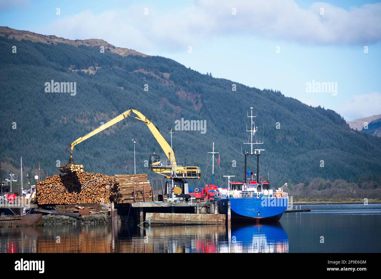Il sollevamento con gru ciocchi di legna dalla pila di nave in mare loch per il trasporto di combustibile di biomassa in Scozia Foto Stock