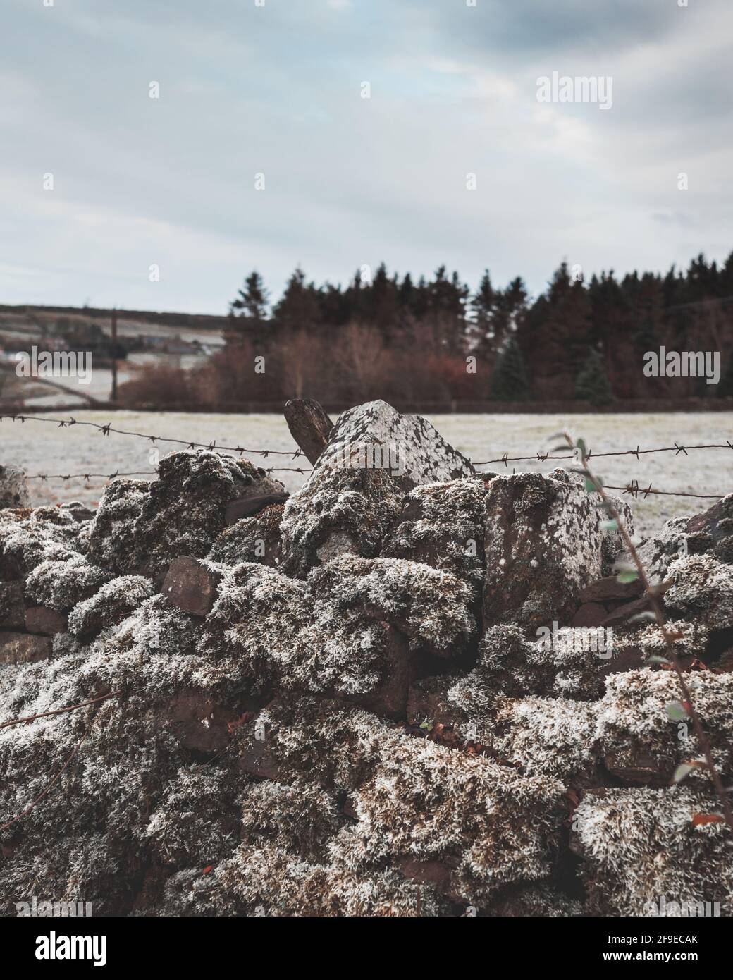 Parete di pietra asciutta coperta di neve Foto Stock