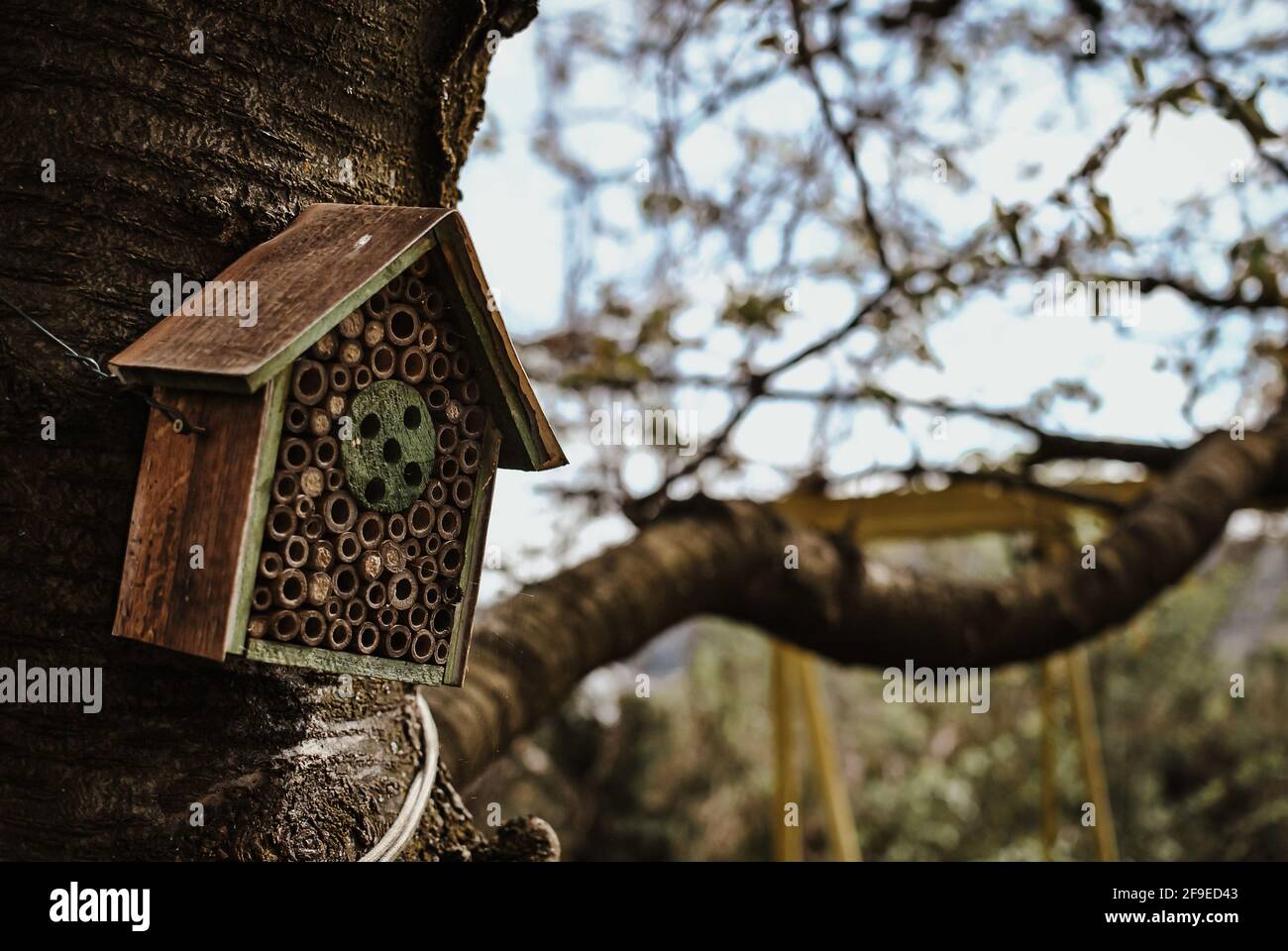 Casa di insetto per il giardino Foto Stock