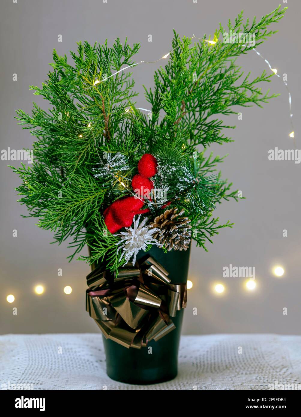 Un vaso con rami thuja e un cono di pino è decorata con una rosetta dorata e luci fiabe Foto Stock