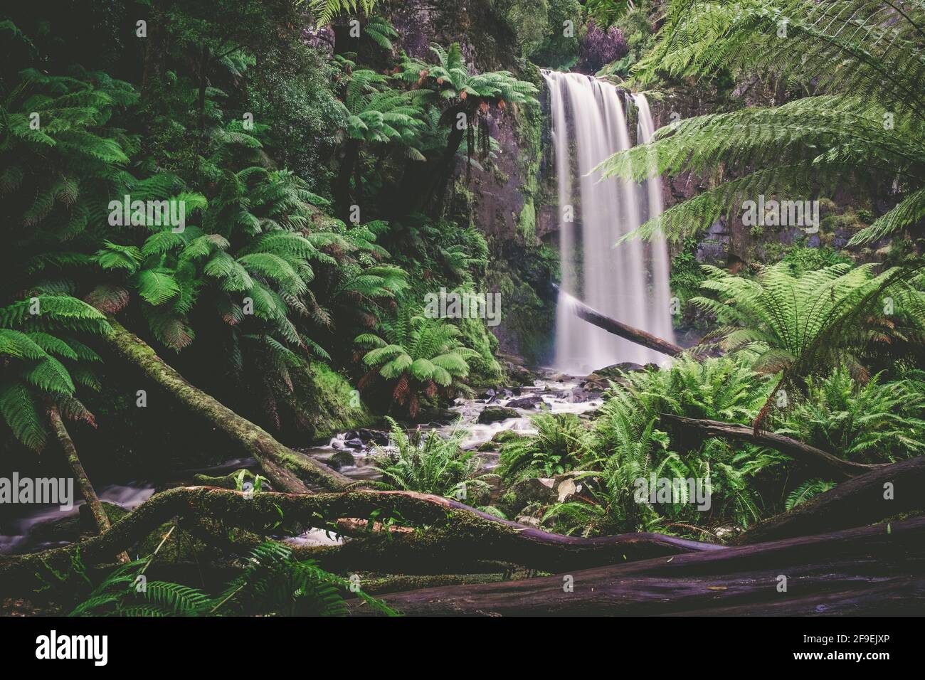 Cascata panoramica in una bella foresta pluviale Foto Stock