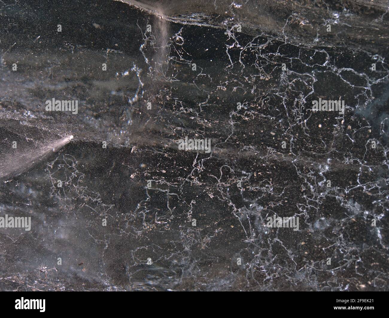 Vista in primo piano della bizzarra superficie ghiacciata con il modello causato dall'aria intrappolata nella Grotta di ghiaccio di Sapphire nel ghiacciaio Breiðamerkurjökull, Vatnajökull. Foto Stock