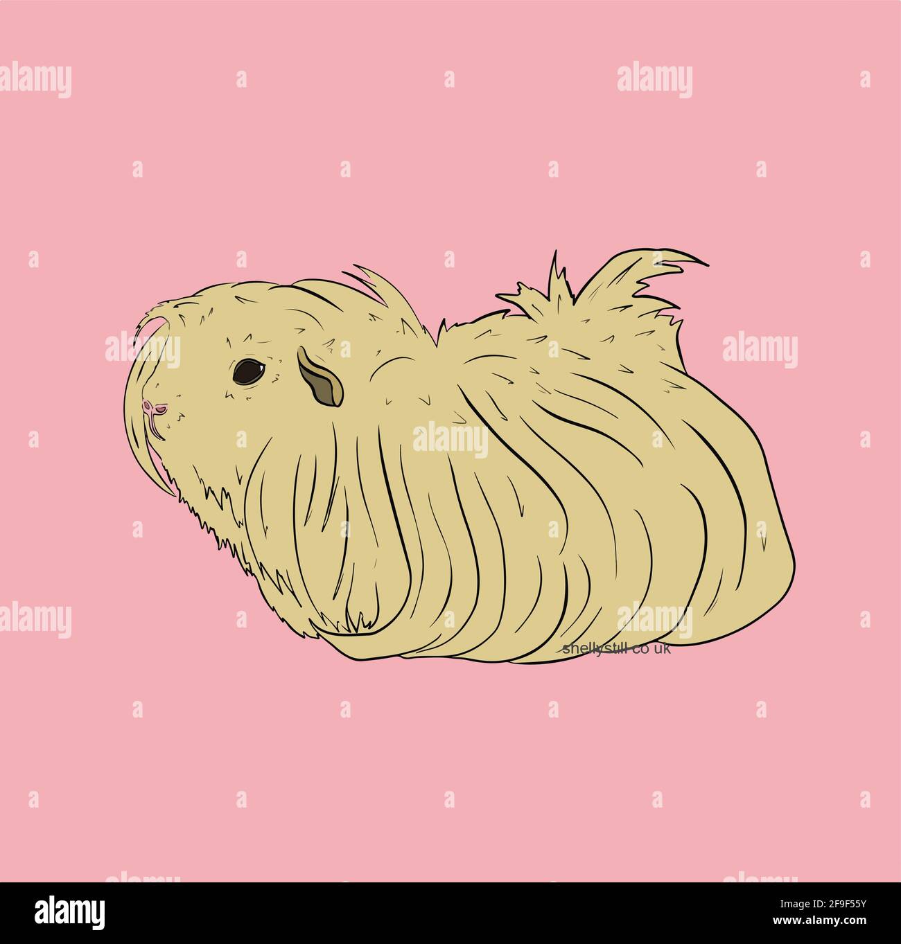 Cute Guinea Pig o Guineapig PET Cartoon Illustrazione in vettore Illustrazione Vettoriale