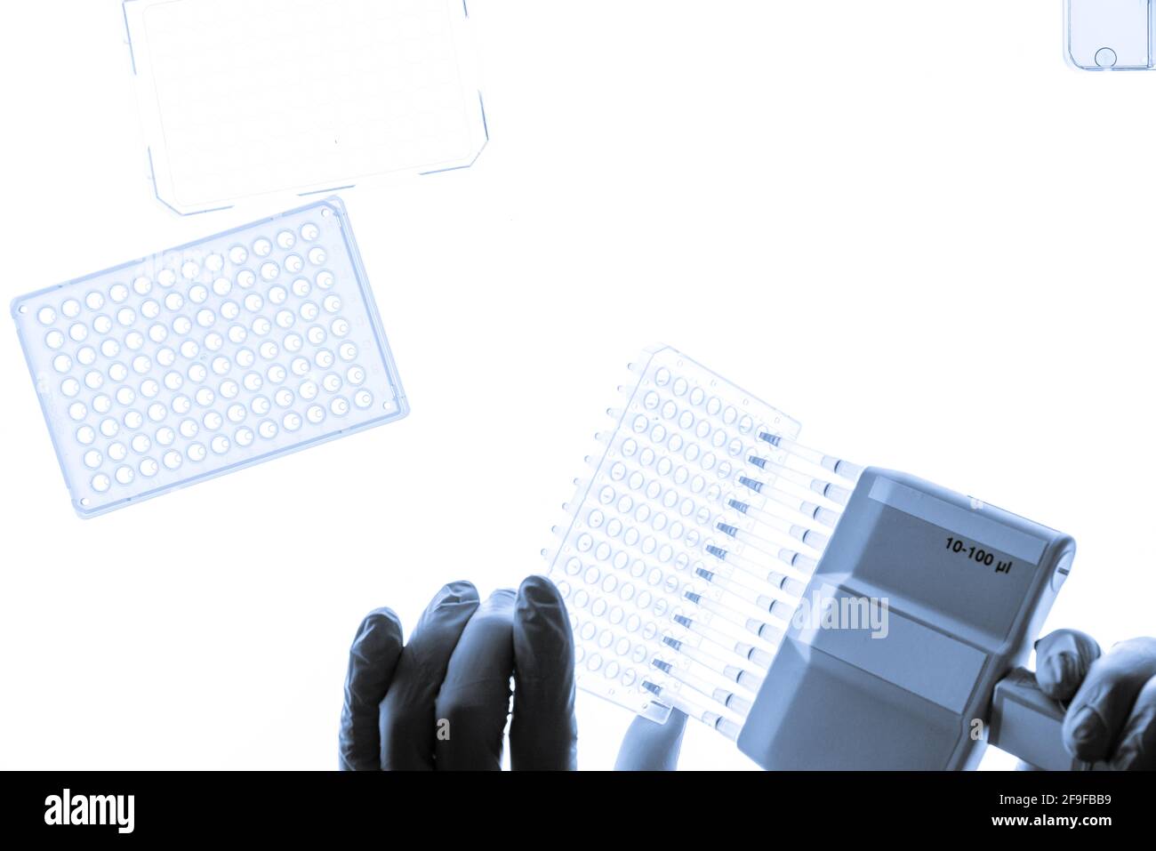 I campioni di DNA vengono caricati su una piastra a 96 pozzetti per l'analisi PCR Foto Stock