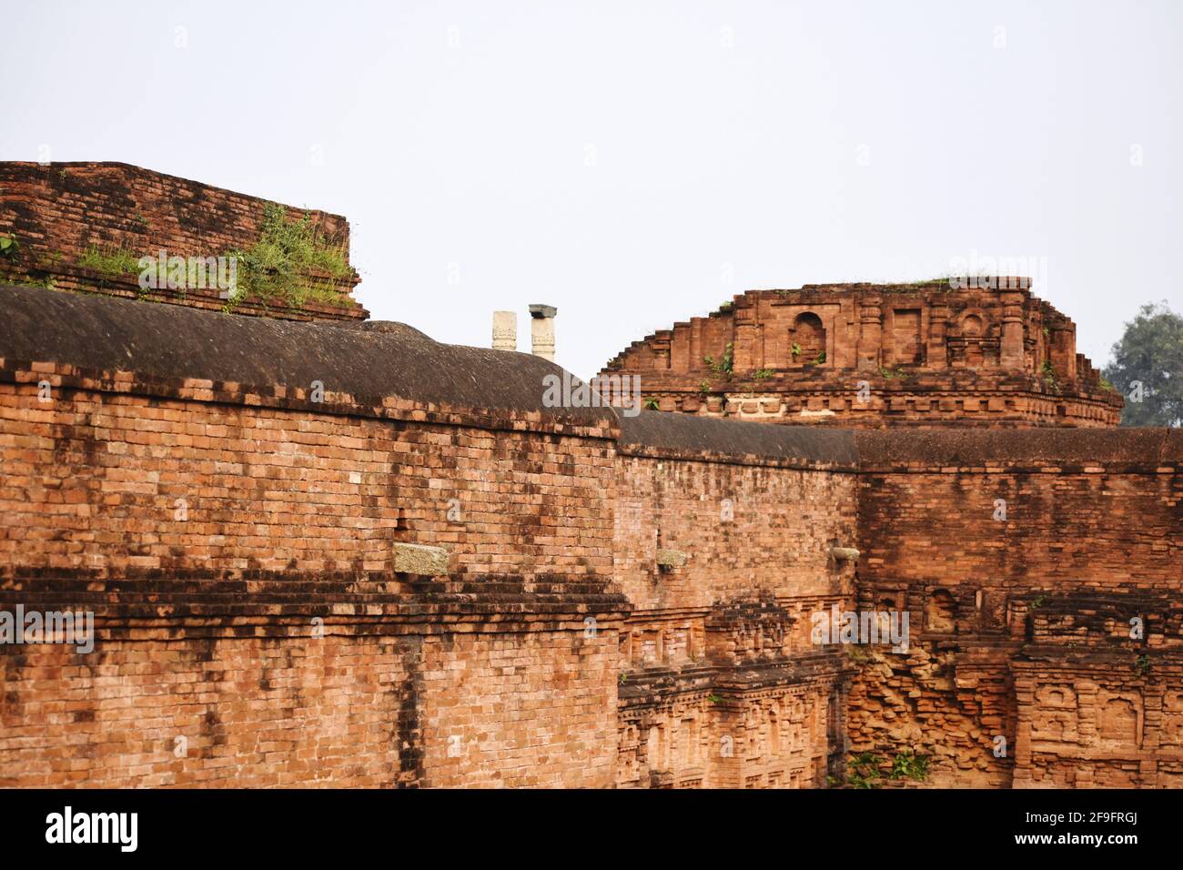 Sito archeologico le rovine di Nalanda in India Foto Stock