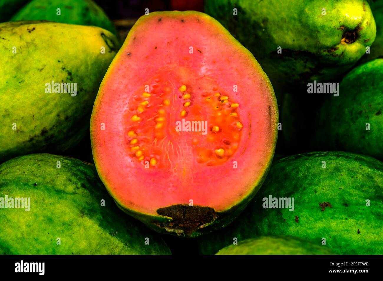 Green Yellow Pink Ruby Supreme Guavas Fruit Fort Lauderdale Florida. Psidium guajava Foto Stock