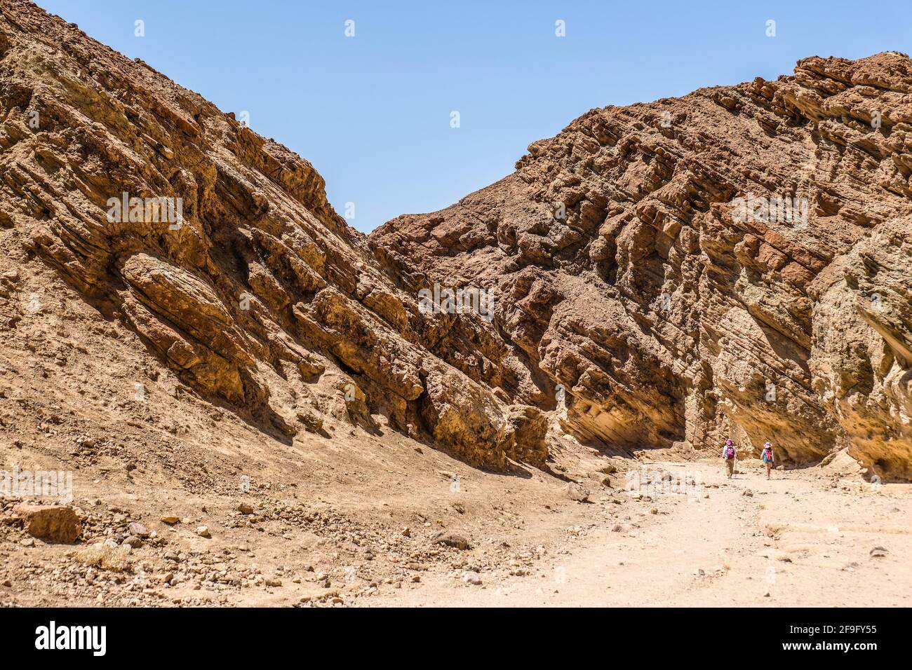 Due escursionisti femminili camminano attraverso il Golden Canyon nella Death Valley Parco nazionale Foto Stock