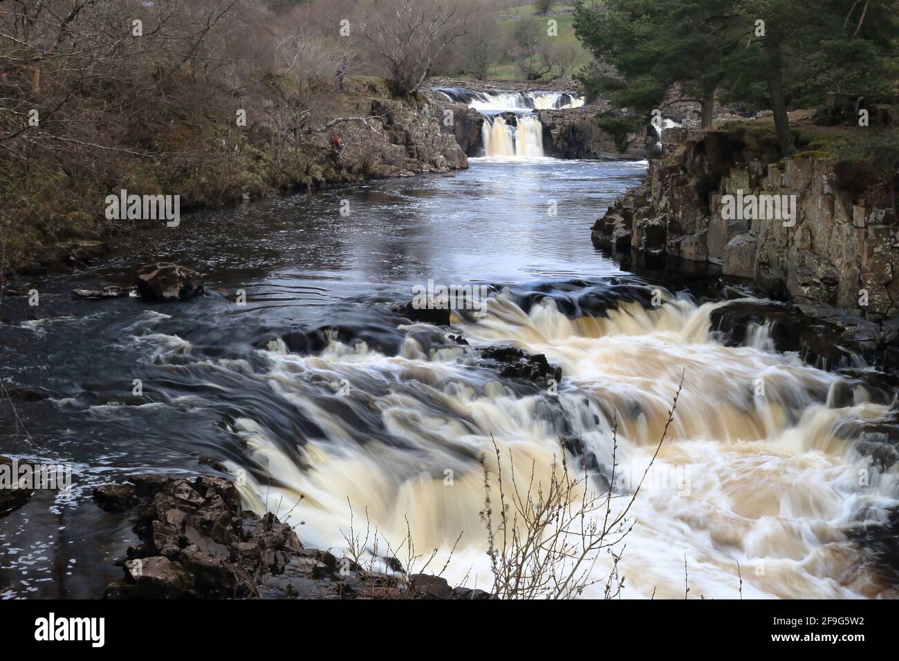 Cascate di Low Force, Upper Teesdale Foto Stock