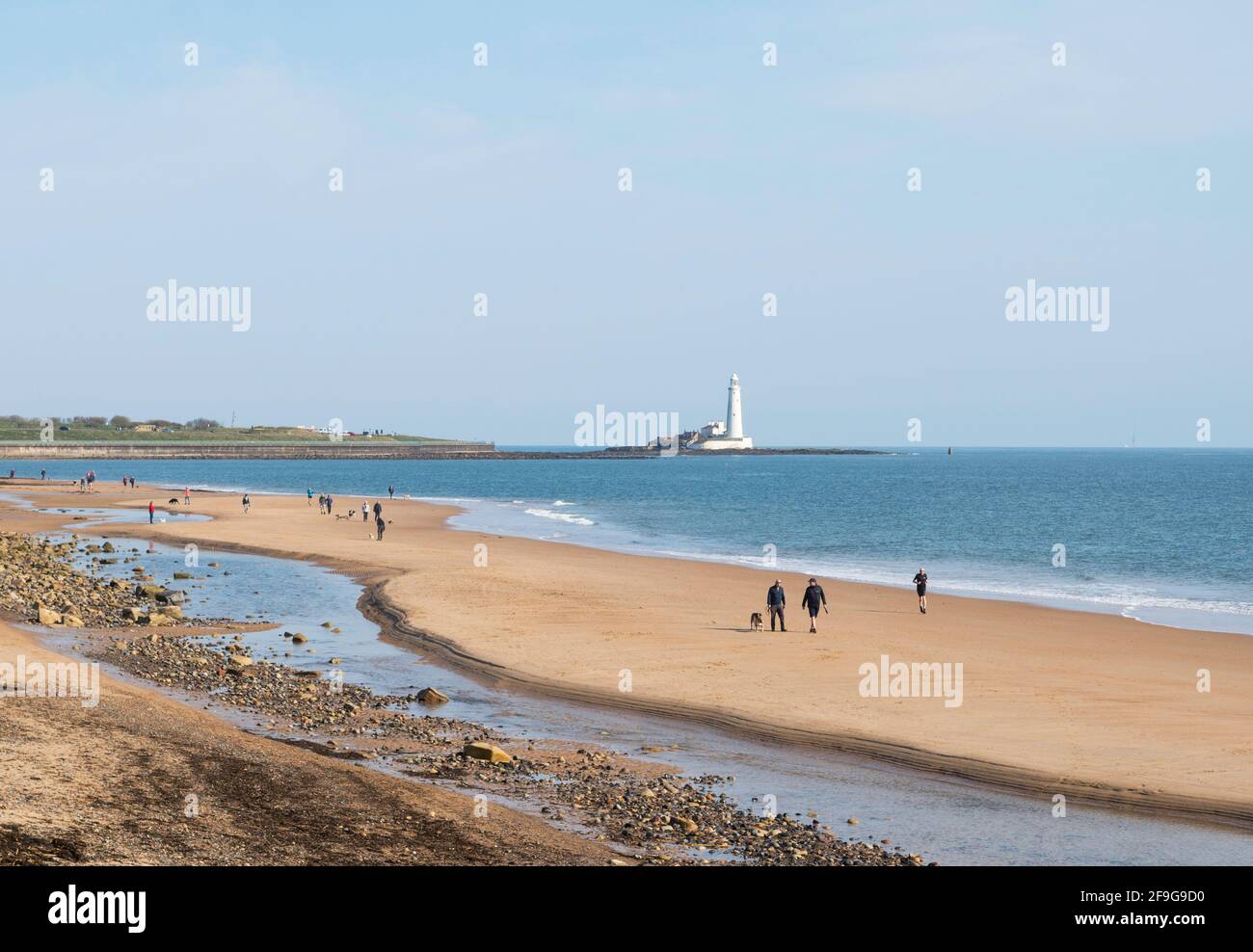 Persone cani da passeggio su Whitley Sands, Whitley Bay, Inghilterra nord-orientale, Regno Unito Foto Stock