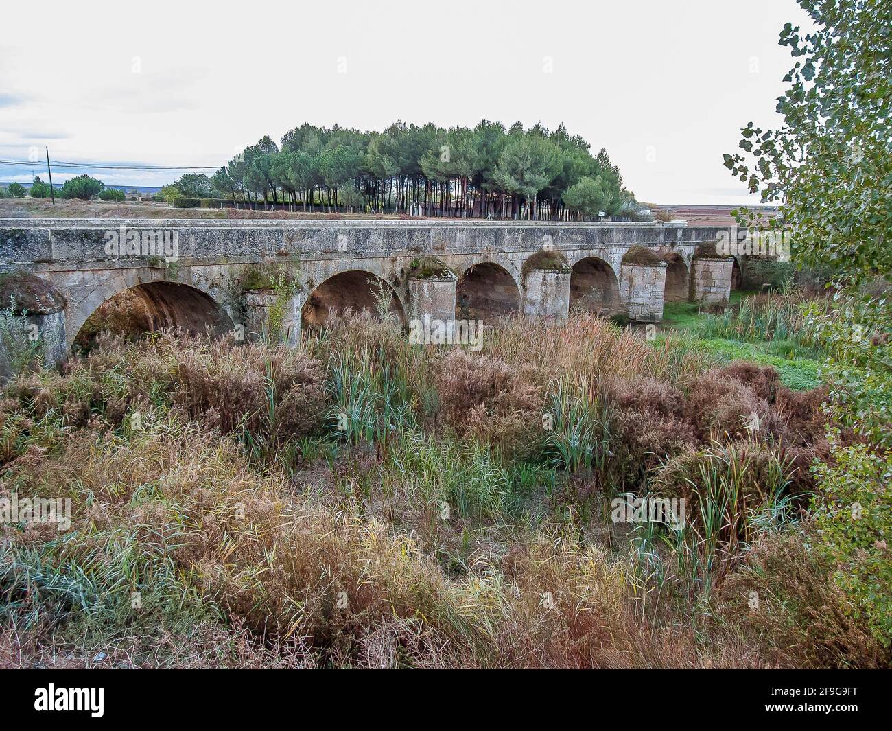 Ponte di pietra sul Rio Ucieza a Poblacion de Campos, Spagna, 22 ottobre 2009 Foto Stock