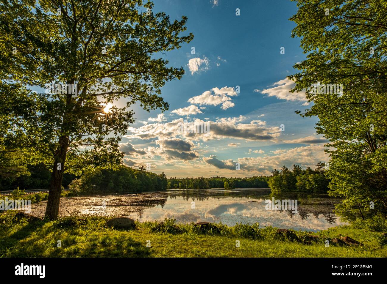 Harvard Pond a Petersham, Masachusetts nel tardo pomeriggio Foto Stock