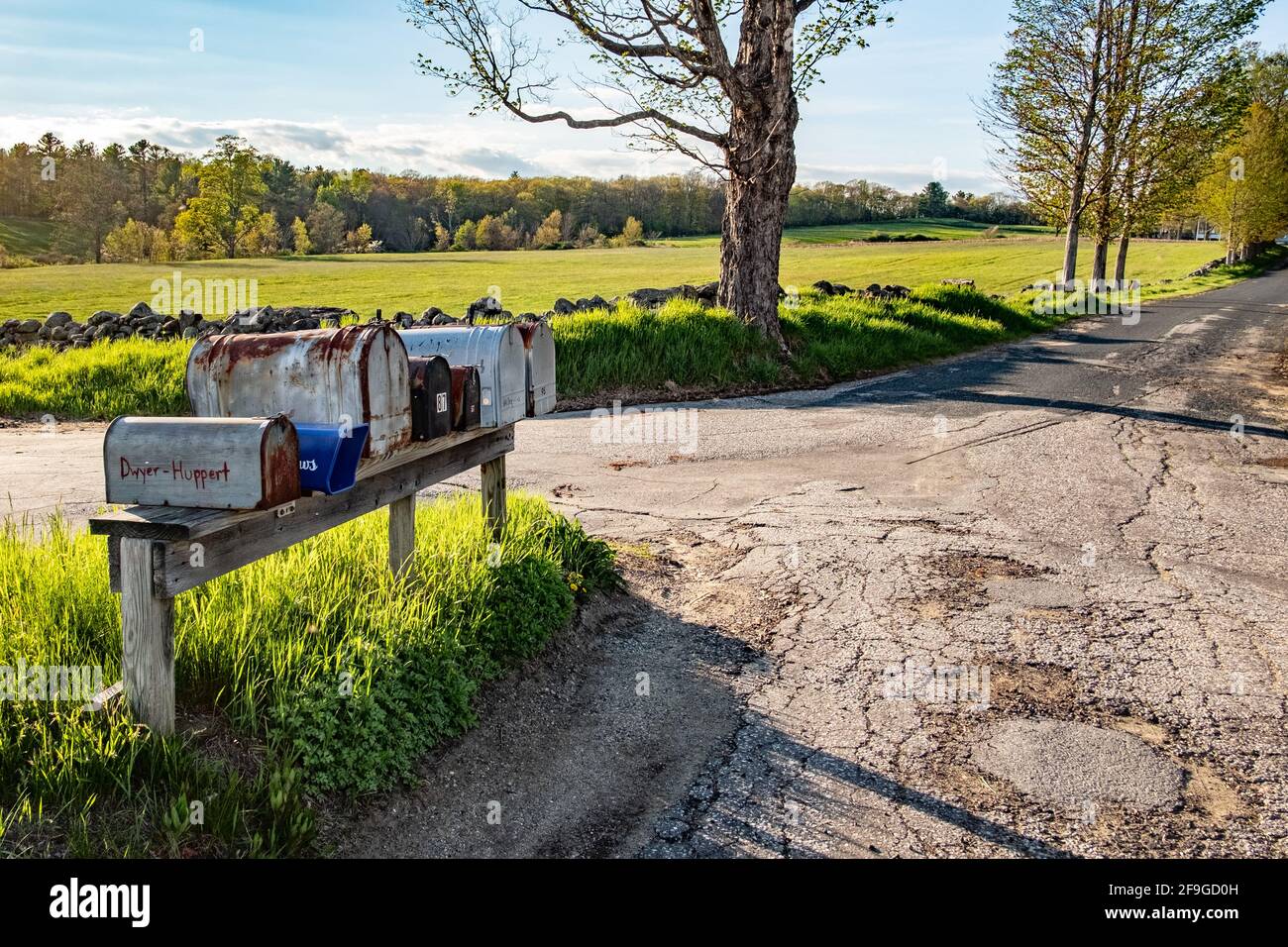 Le caselle postali si trovano lungo questa strada tranquilla in una piccola città rurale Foto Stock