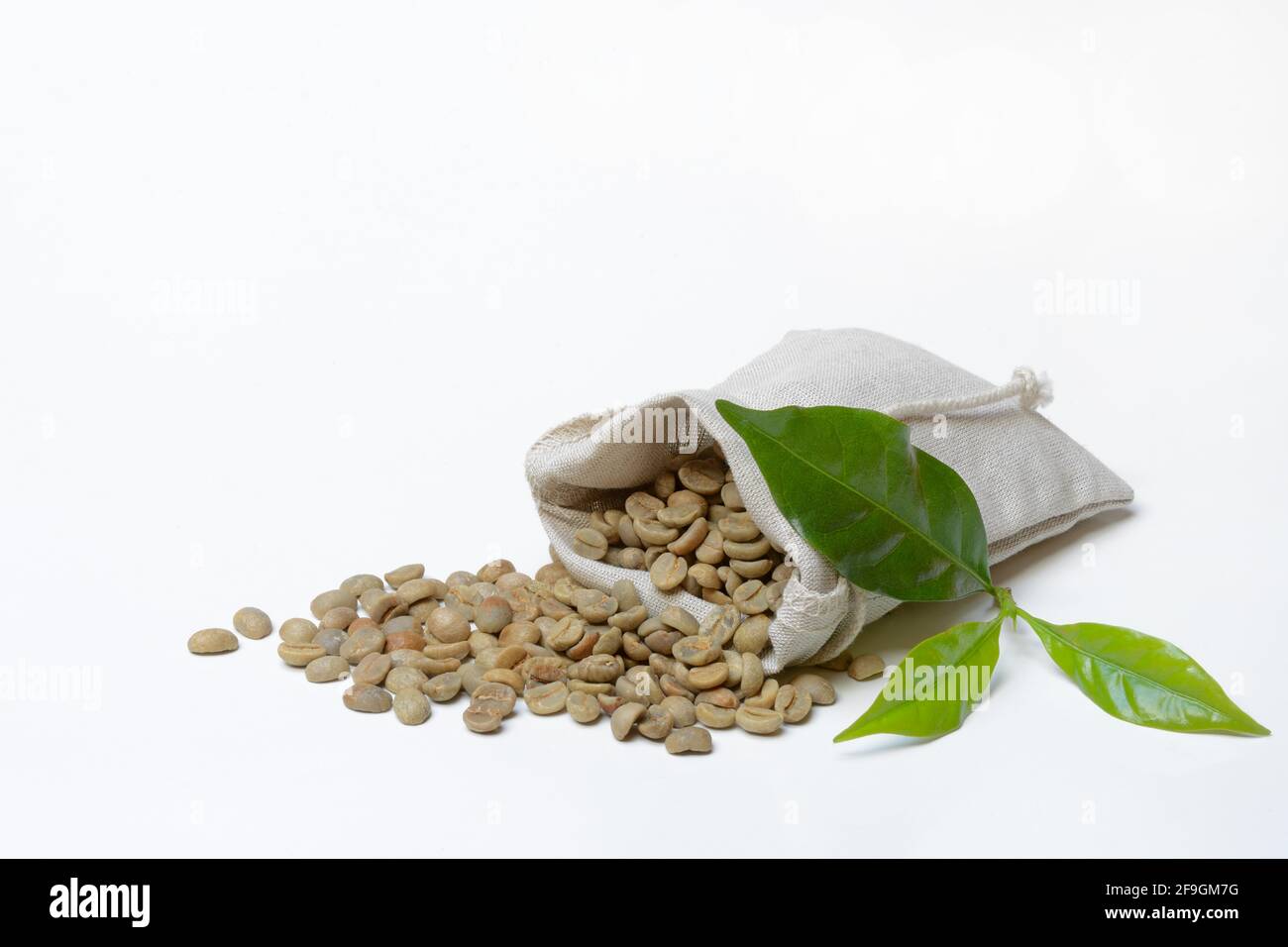Chicchi di caffè verdi non tostati in sacchetti, foglie di caffè, Germania Foto Stock