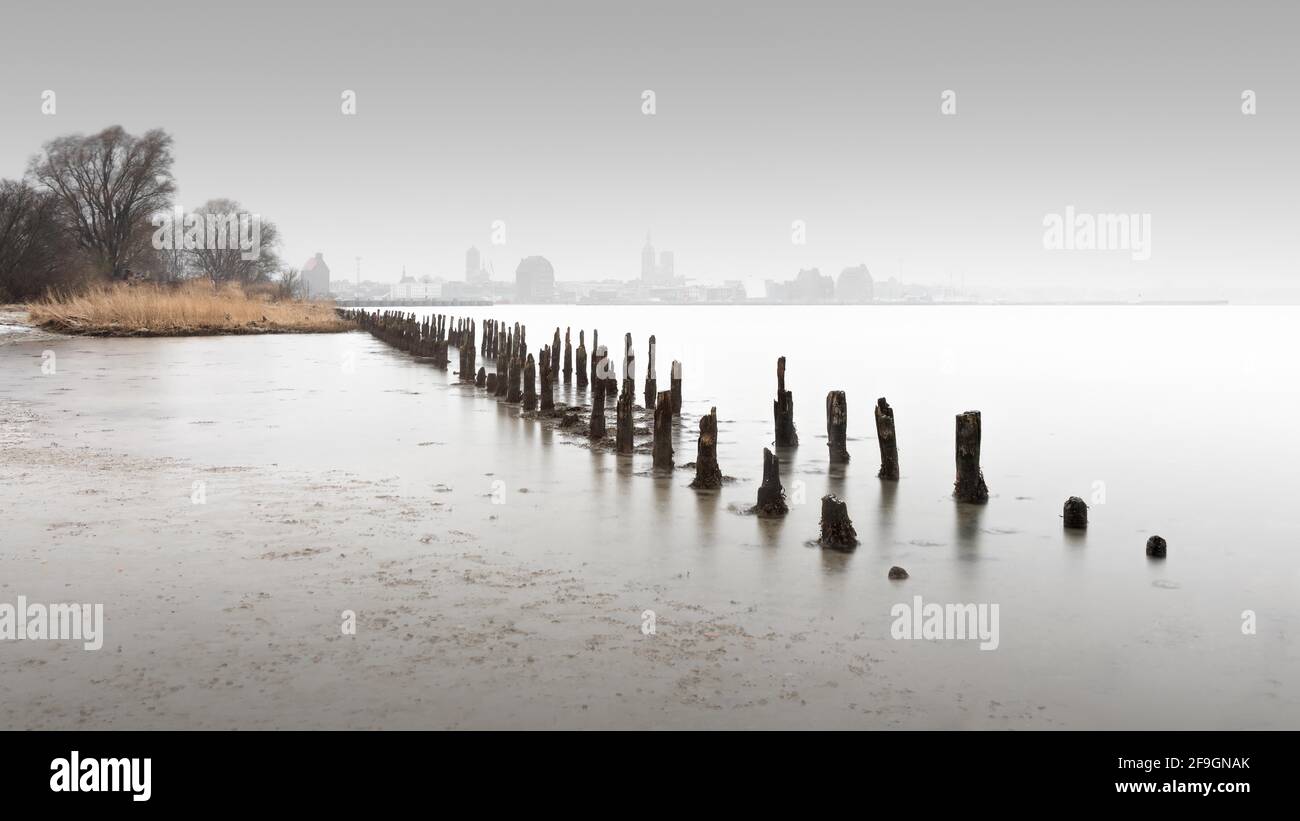 Vecchi groynes sull'isola di Daenholm vicino Stralsund, Germania Foto Stock