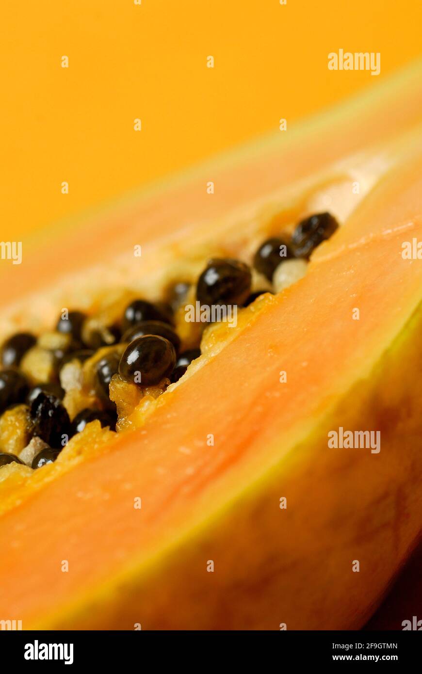 Semi di pawpaw (Carica papaya), melone di albero, , alberi di papaya, caricaceae Foto Stock