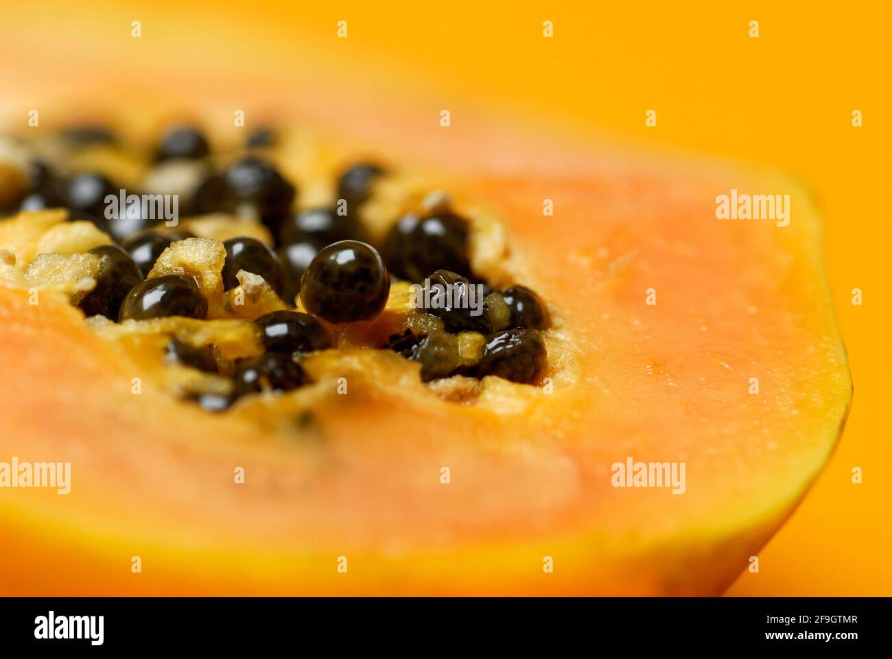 Semi di pawpaw (Carica papaya), melone di albero, , alberi di papaya, caricaceae Foto Stock