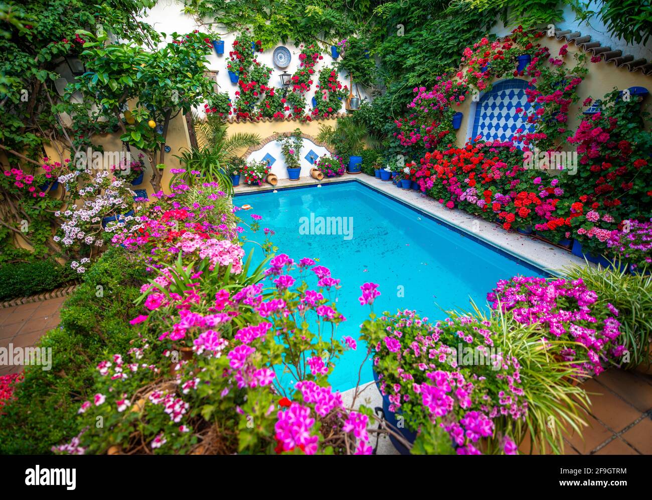 Molti gerani rossi in vasi di fiori nel cortile interno con laghetto blu, Fiesta de los Patios, Cordoba, Andalusia, Spagna Foto Stock