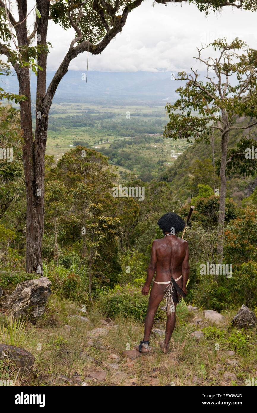 Dani guerriero, Il Baliem Valley, Papua occidentale, in Indonesia Foto Stock