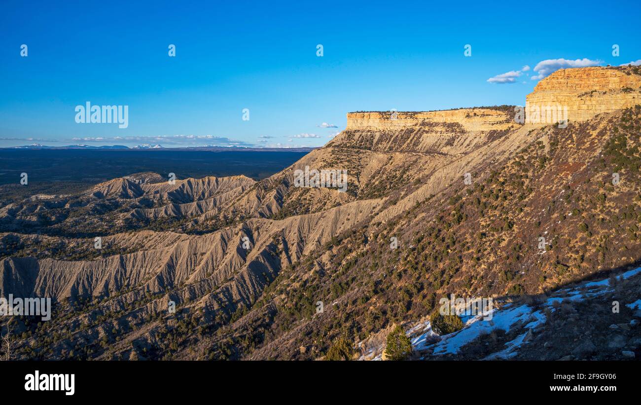 Lone Pine nel Parco Nazionale di Mesa Verde, Colorado, Primavera. Foto Stock