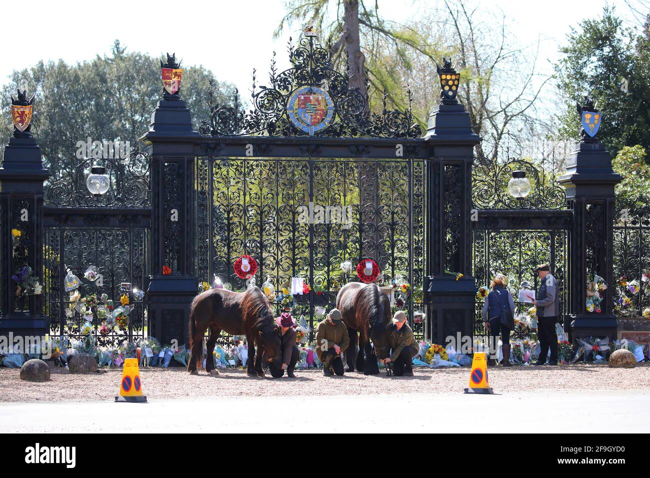 Sandringham, Regno Unito. 17 Apr 2021. Hannah Whyman-Naveh con Shadow (26), Carole Fox, e Julie Southwell con i loro Fell Ponies Shadow (26, a sinistra) e Yogi (16) vengono al Norwich Gates fuori della Sandringham House a Norfolk, per rendere omaggio al principe Filippo Duca di Edimburgo, il giorno del suo funerale, 17 aprile 2021 credito: Paul Marriott/Alamy Live News Foto Stock