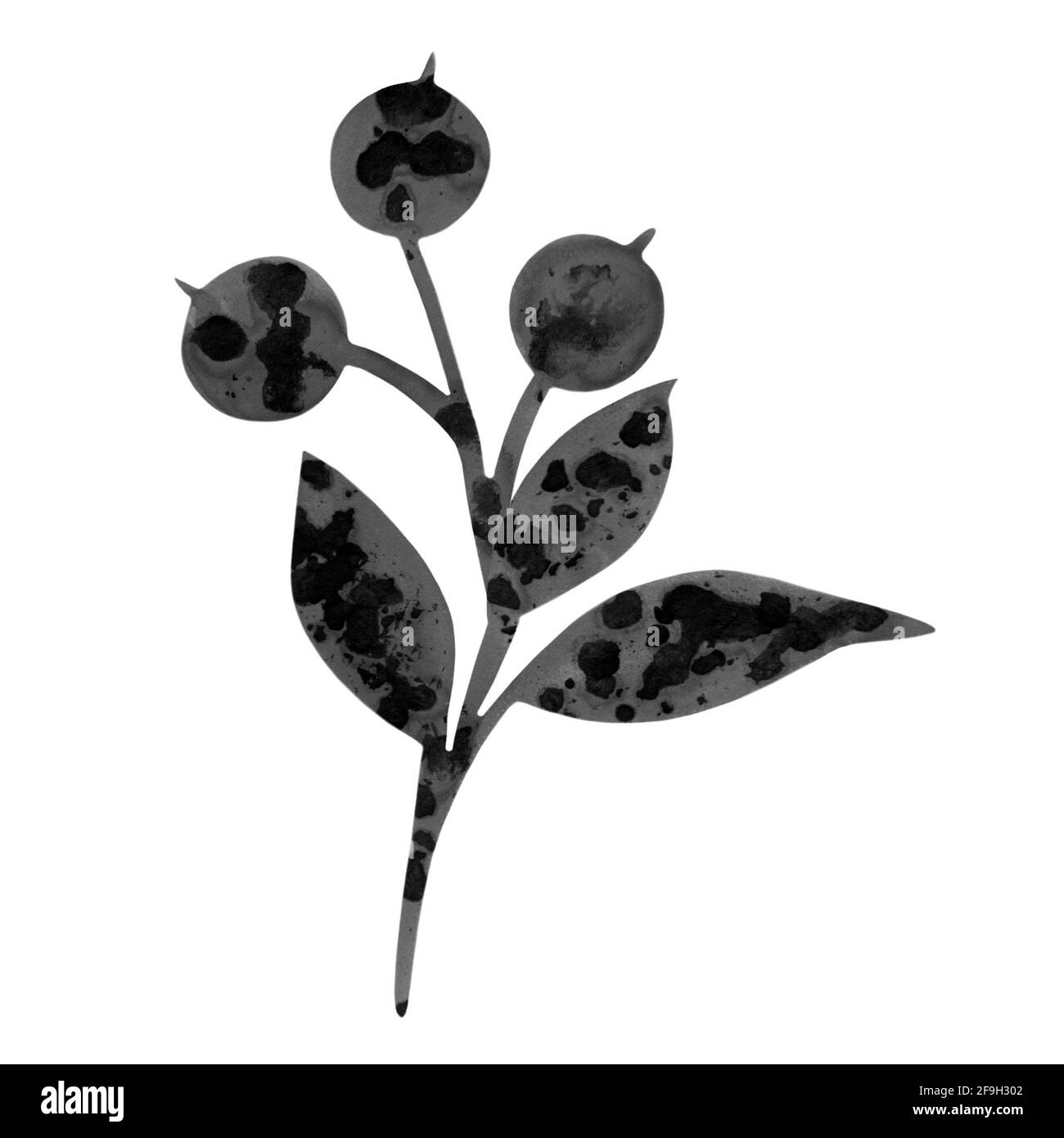 Illustrazione di acquerello disegnata a mano con mirtilli e foglie isolate su bianco. Perfetto per biglietti d'auguri, cartoline, logo, tessuto, tessuto, pacchetto Foto Stock