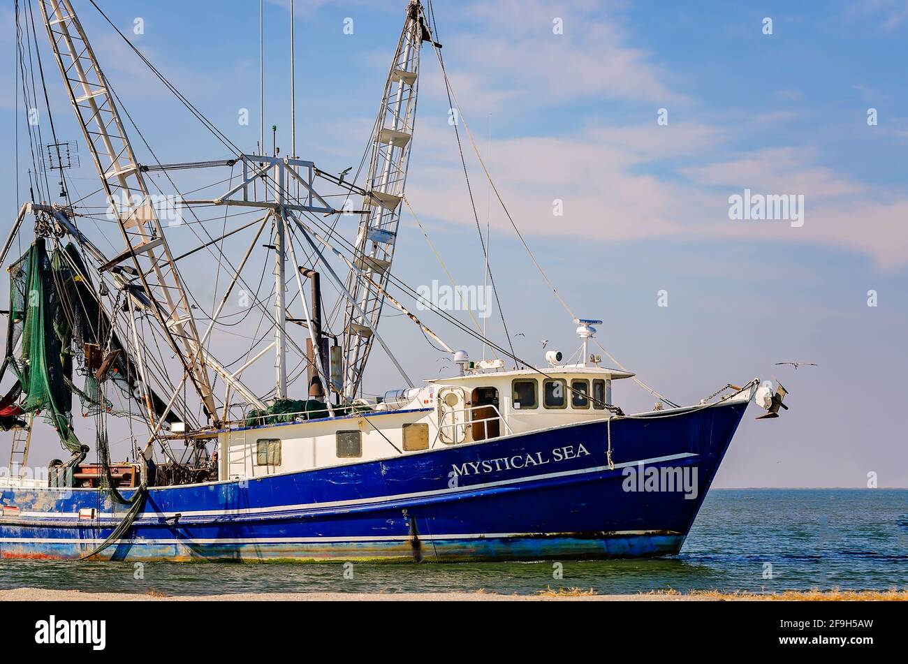 La barca di gamberi "Mystical Sea" si dirige a casa da un viaggio di gamberi, il 23 novembre 2012, a Bayou la Batre, Alabama. Foto Stock