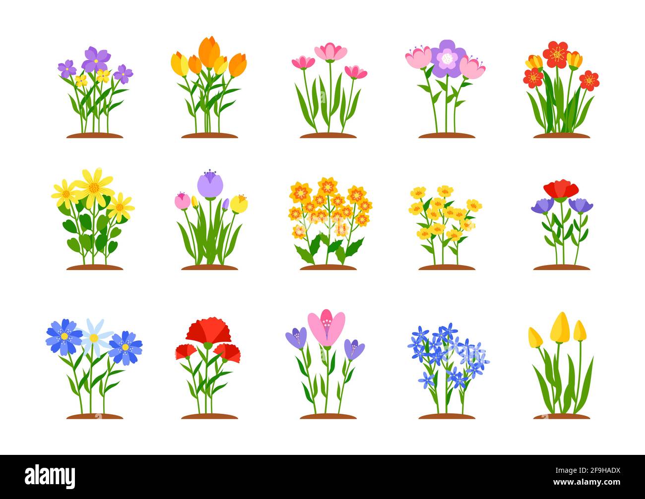 Set di fiori primaverili da giardino in stile piatto. Primi aiuole da giardino con tulipani, narcisi o margherite colorate in crescita. Elemento di progettazione paesaggio naturale primaverile della foresta. Illustrazione vettoriale isolata Illustrazione Vettoriale