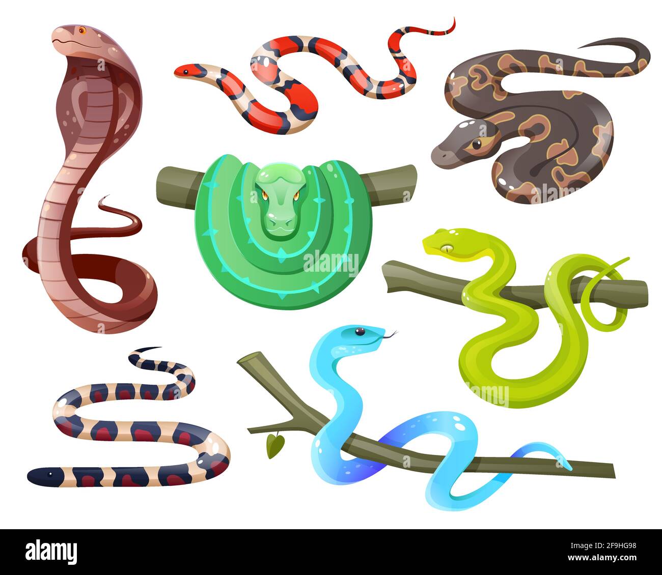 Serpenti, serpenti tropicali selvaggi isolati su sfondo bianco. Cobra, il serpente di montagna della california, il pitone verde dell'albero e della sfera, il salazar di trimeresurus e insularis. Cartoni animati vettoriali di rettili esotici Illustrazione Vettoriale