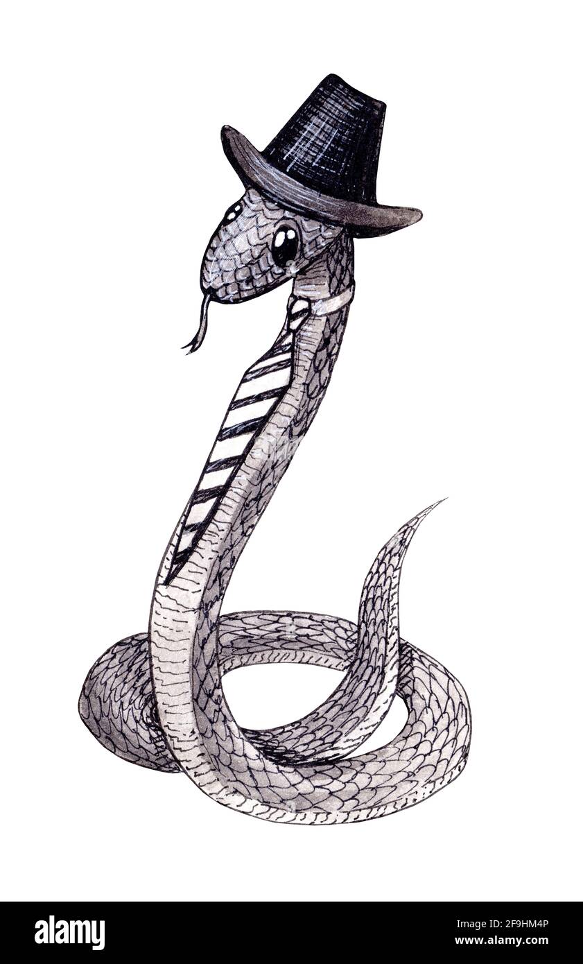 Mano disegnata cute serpente nero e bianco bambini cartoon illustrazione  dell'inchiostro in un cappello e una cravatta isolata sopra sfondo bianco  Foto stock - Alamy